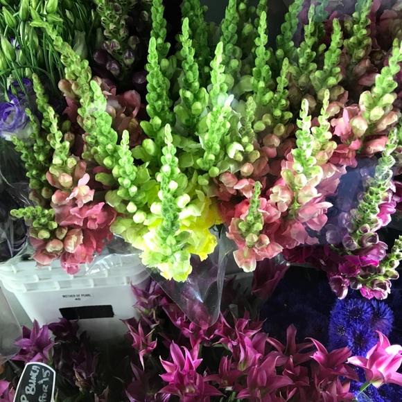 Meet your Posher, Darlene - Picture 2 of 2